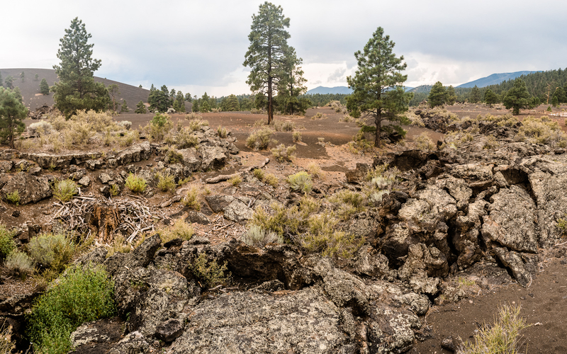 Squeeze-Up formation near Sunset Crater Volcano, AZ