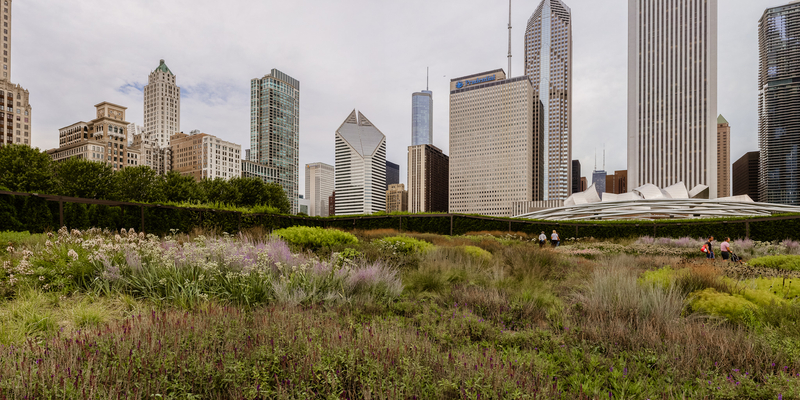 Chicago skyline from the Millennium Park
