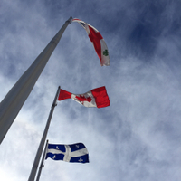 Flags in Montréal